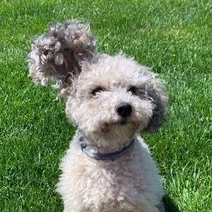 Meet your Posher, Julia